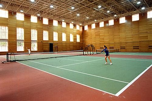 羽毛球場場地面